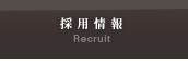 採用情報